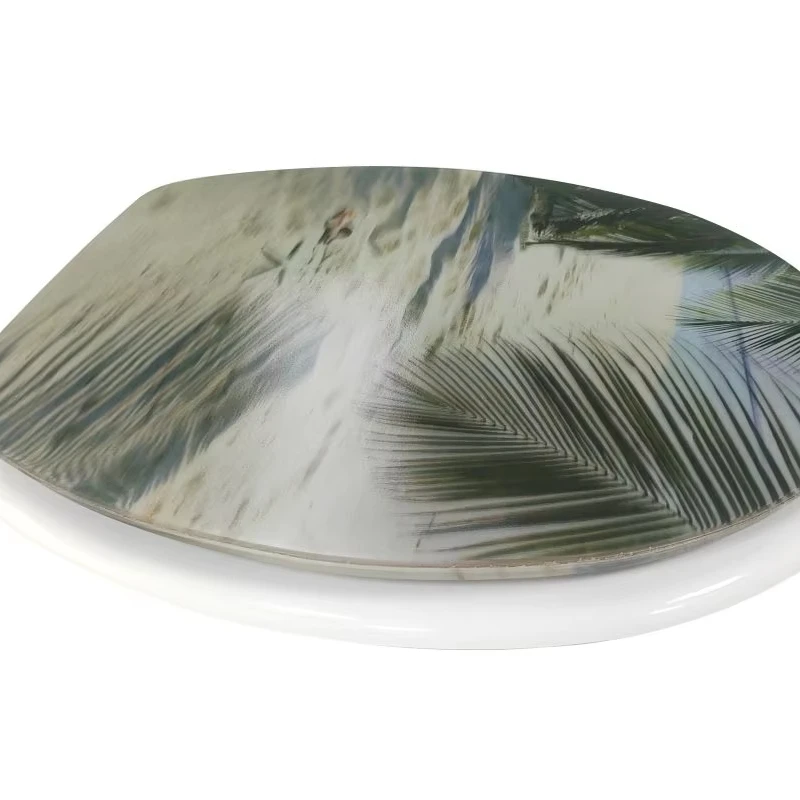 chaozhou toilet seat cover boidegradeable cover squatting gold wood custom wooden factory price pink sale rose app plastic