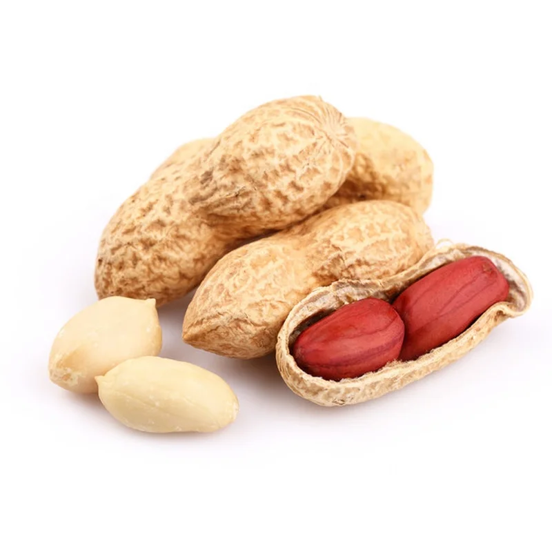 
Factory Supply High Quality Peanut in Peanut Shell And Kernel Price With Best Prices 
