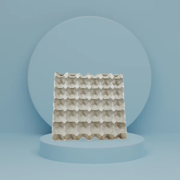 30 cell Biodegradable egg carton empty 30 cells tray box packaging for chicken egg