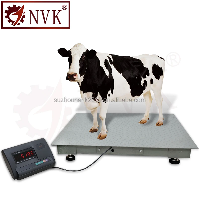 NVK  1000 kg 2t 3t 5000kg digital weight scale machine platform floor scale industrial weighing scale 1 ton