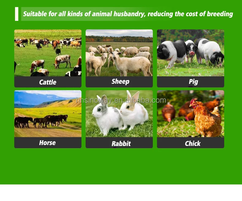 China factory baler machine for recycling logger baler for sale baler parts new holland in kenya