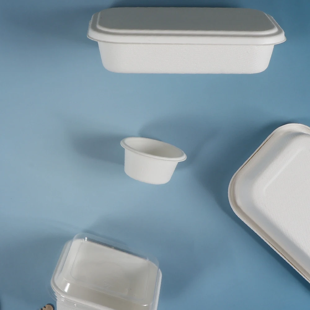Customized Biodegradable Disposable Sugarcane Bagasse Pulp Food Container Airline Casserole