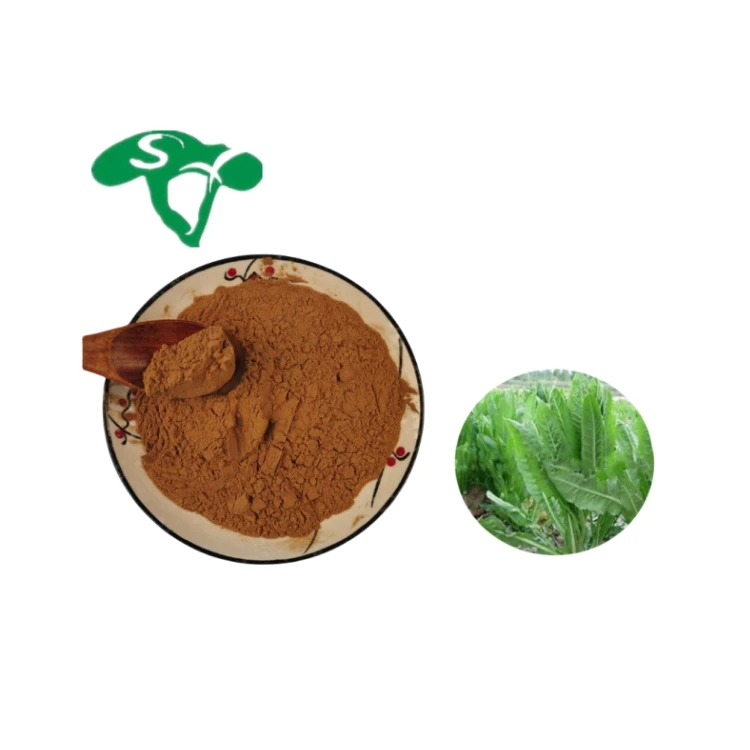 Hot Sale High Quality Manufacturer Supply Chicory Extract Food Grade Chicory Root Extract 10:1 Chicory Extract Powder