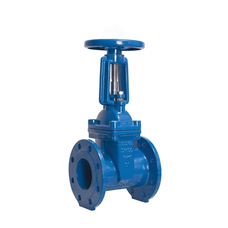 Drawings custom made cast iron rising stem flanged steel water seal gate valve