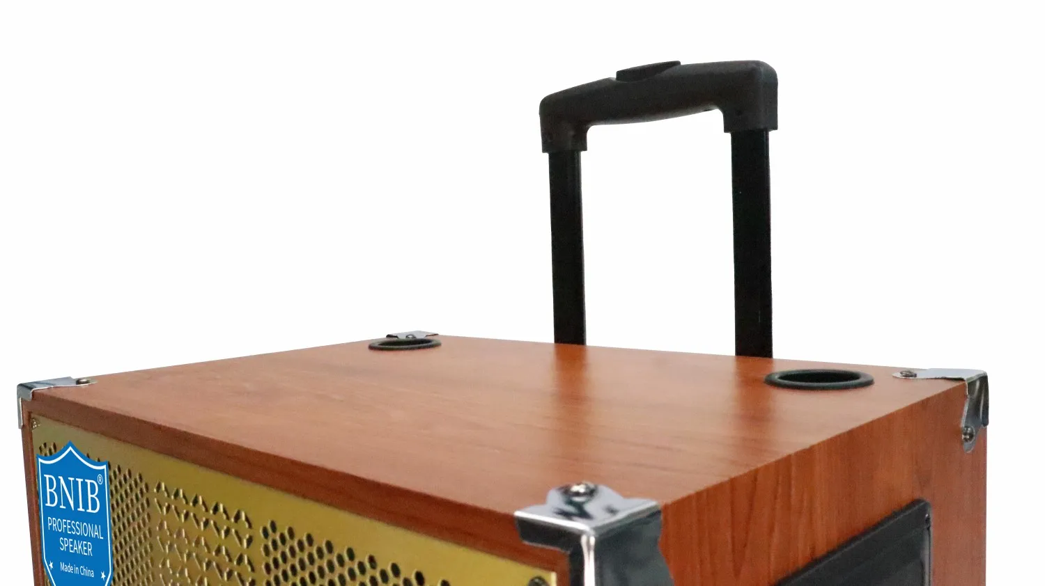 Hot Selling Products 2022 Portable Speaker 10 Inch Speakers Subwoofer Speaker ODM OEM USB BT TF MIC