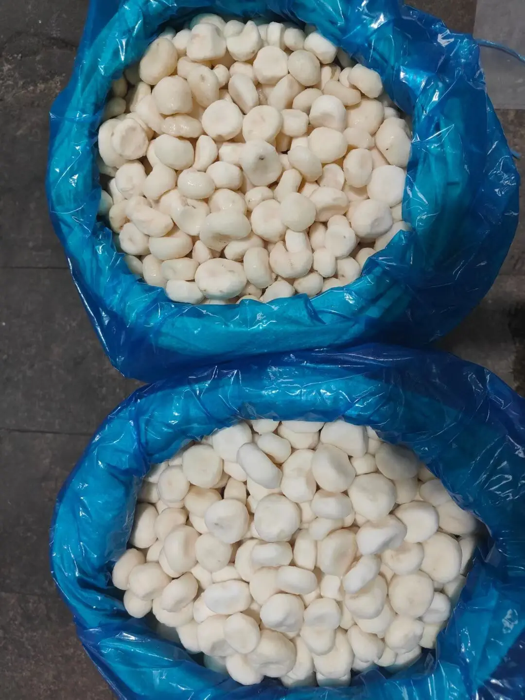 New crop  frozen water chestnut iqf frozen vegetables