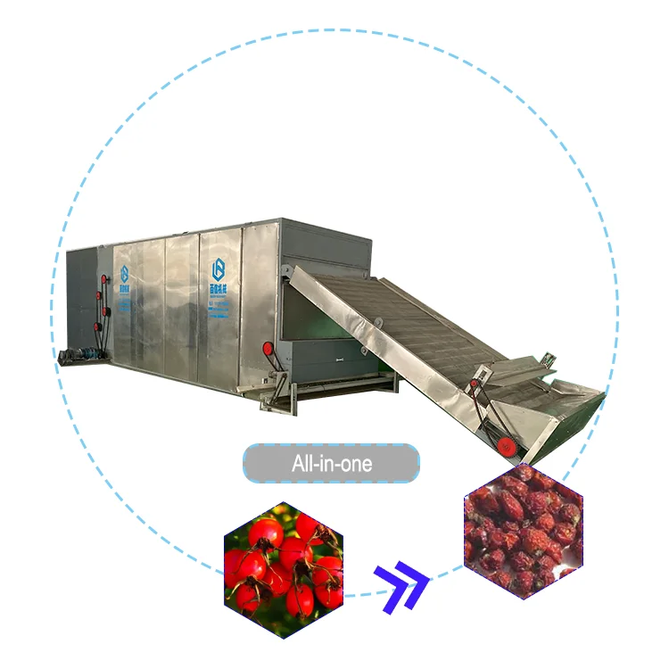 Industrial Onion Agricultural Dryer Machine Rosehip Dehydrator