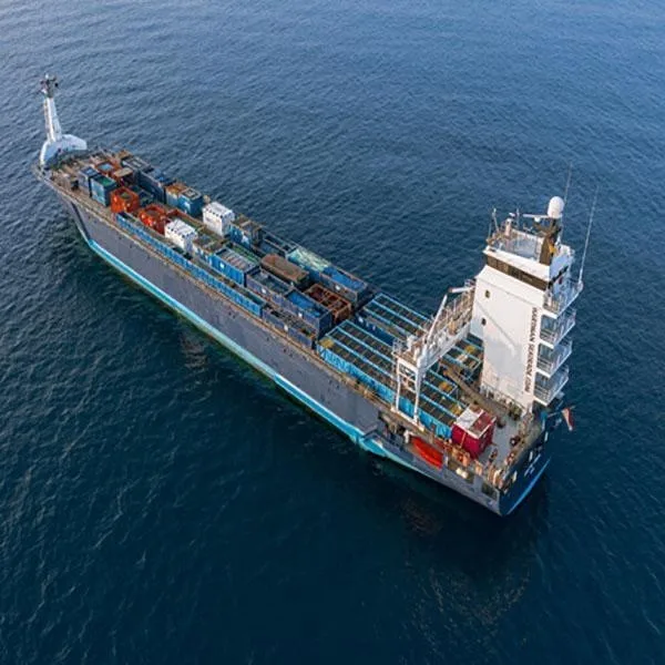 BOLOGNA sea shipping LCL 20ft 40ft China shipping agent freight forwarder China to ITALY