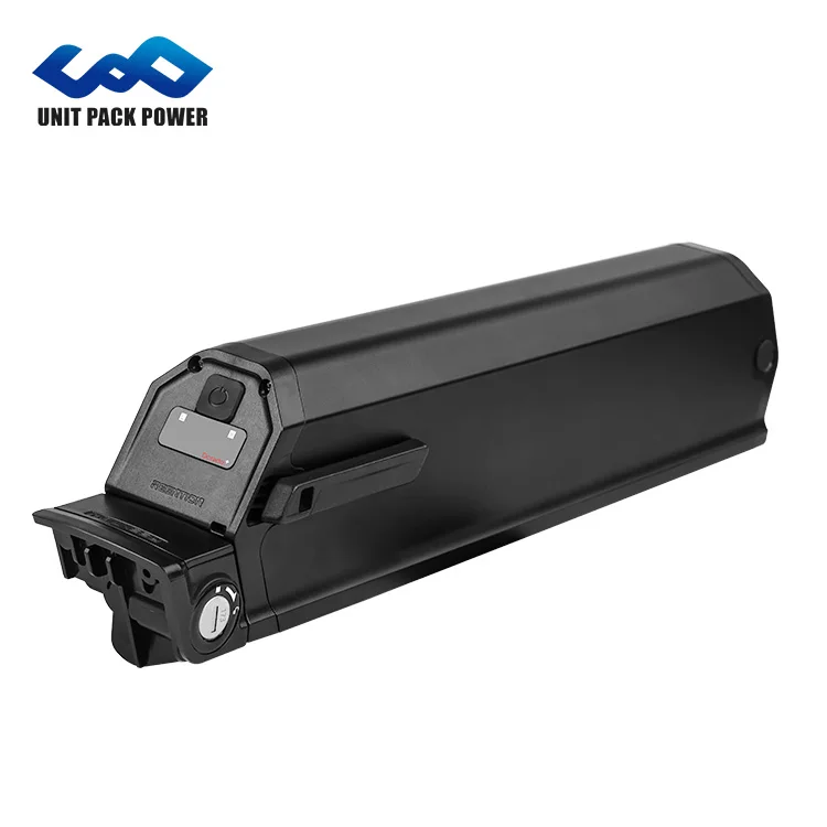 Germany stock 48v 13ah Reention Dorado case electric bicycle battery