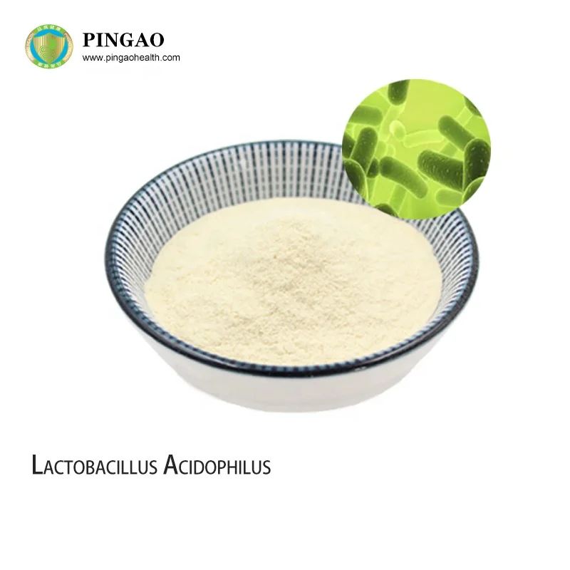 China Suppliers Food Supplement Freeze-Dried 10Bcfu/g Lactobacillus Acidophilus Probiotics Powder Wholesale Probiotics
