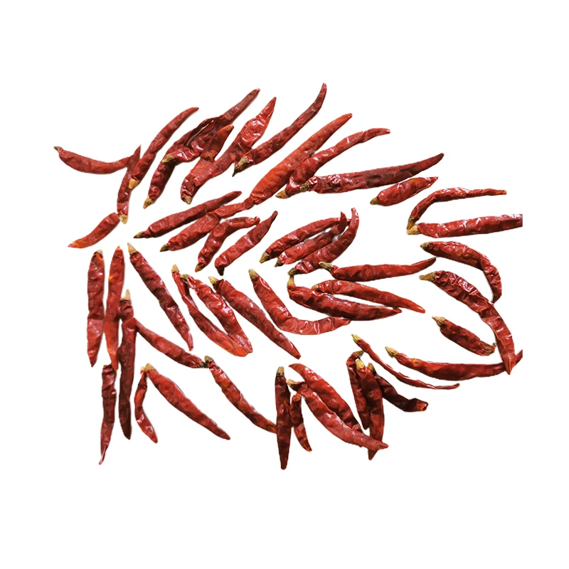 China Manufacture Supply High Quality Dried Red Dry Chillies