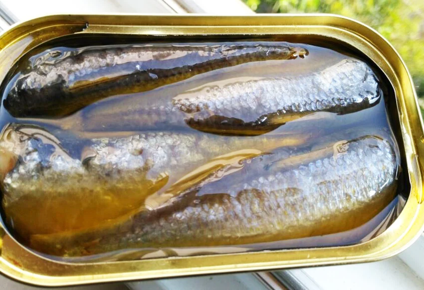 Прямая продажа с фабрики консервированные сардины рыбы в растительном масле 125 г Клубные банки хорошего качества с китайского завода консервированные рыбы морепродукты