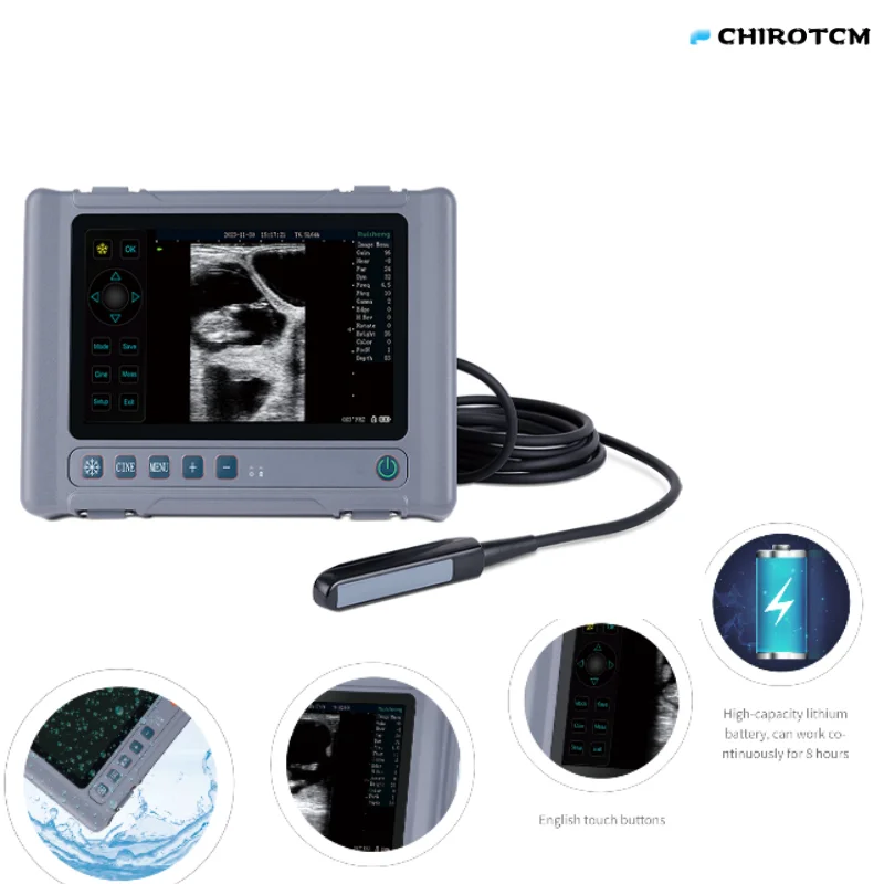 Low Cost High Performance Handheld Ultrasound Machine Veterinary Equipment Portable Ultrasound Scanner for Animals