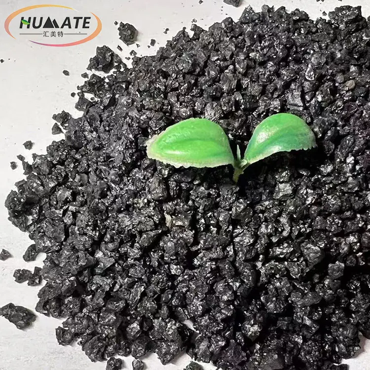 China Ningxia Humate fertilizer compound line agricultural fertilizer humic acid npk granular fertilizer