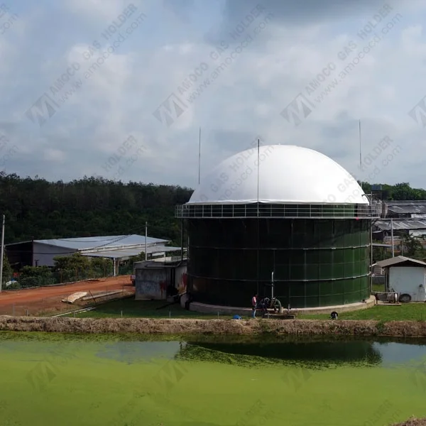 High Quality Membrane Biogas Storage Roof for Biogas Digester Tank in Turkey