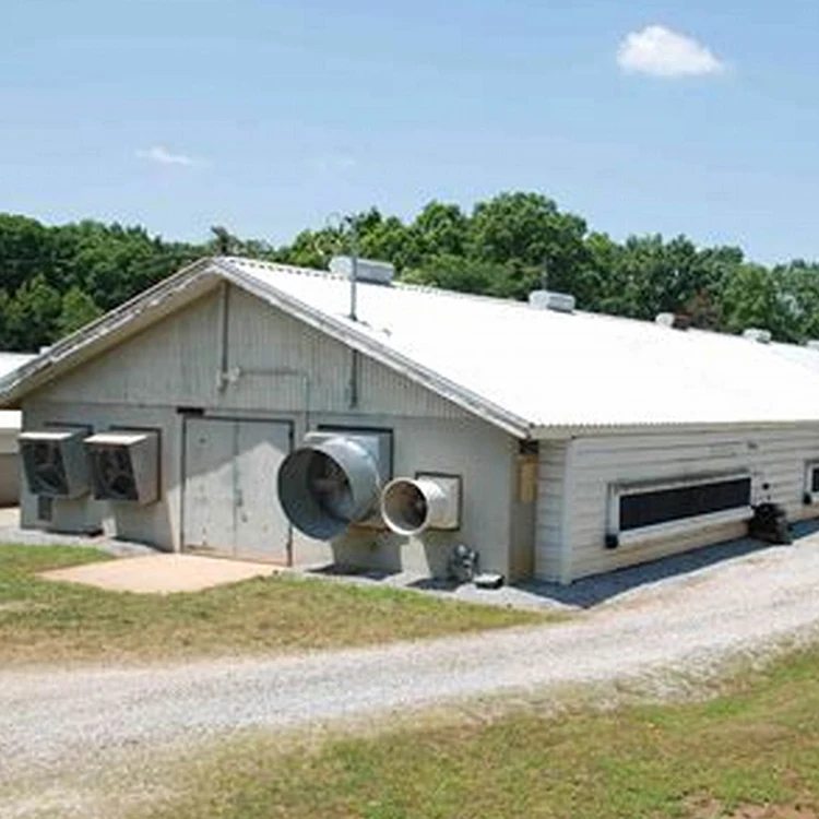 2022 new desgin free range steel structure chicken house Shed Poultry Farm