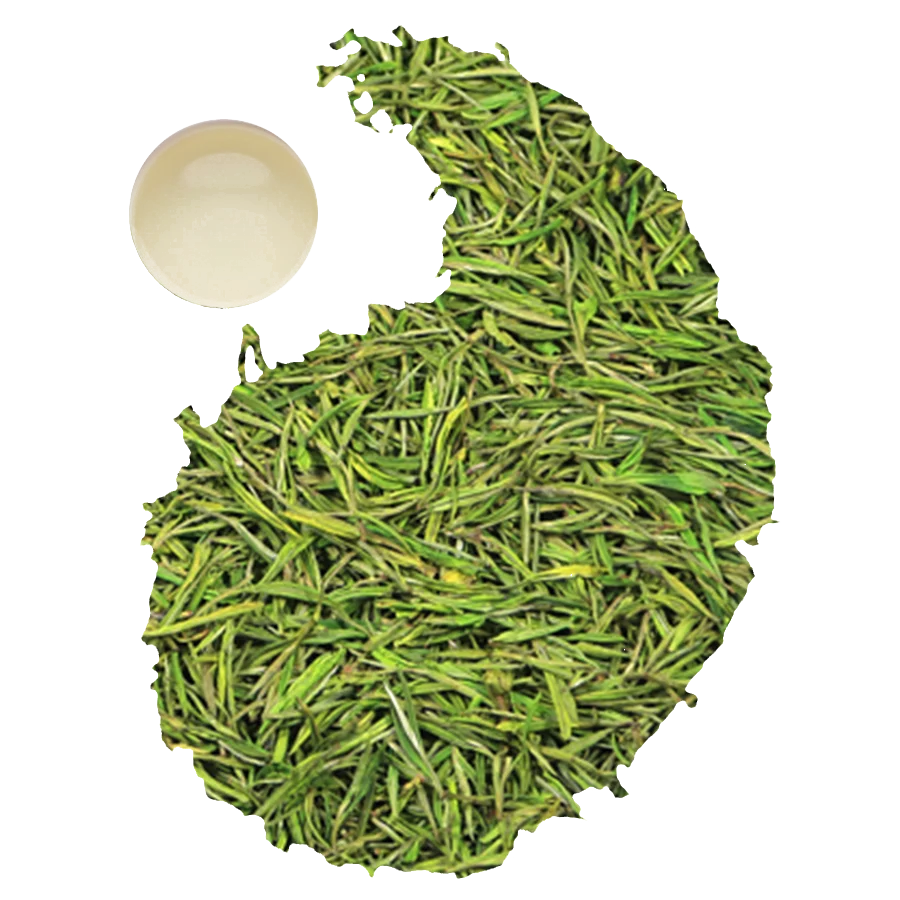 
China Organic anji loose leaf white tea with US standard certification 