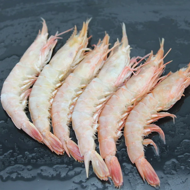 
Frozen pink shrimp prawn whole round fresh seafood 