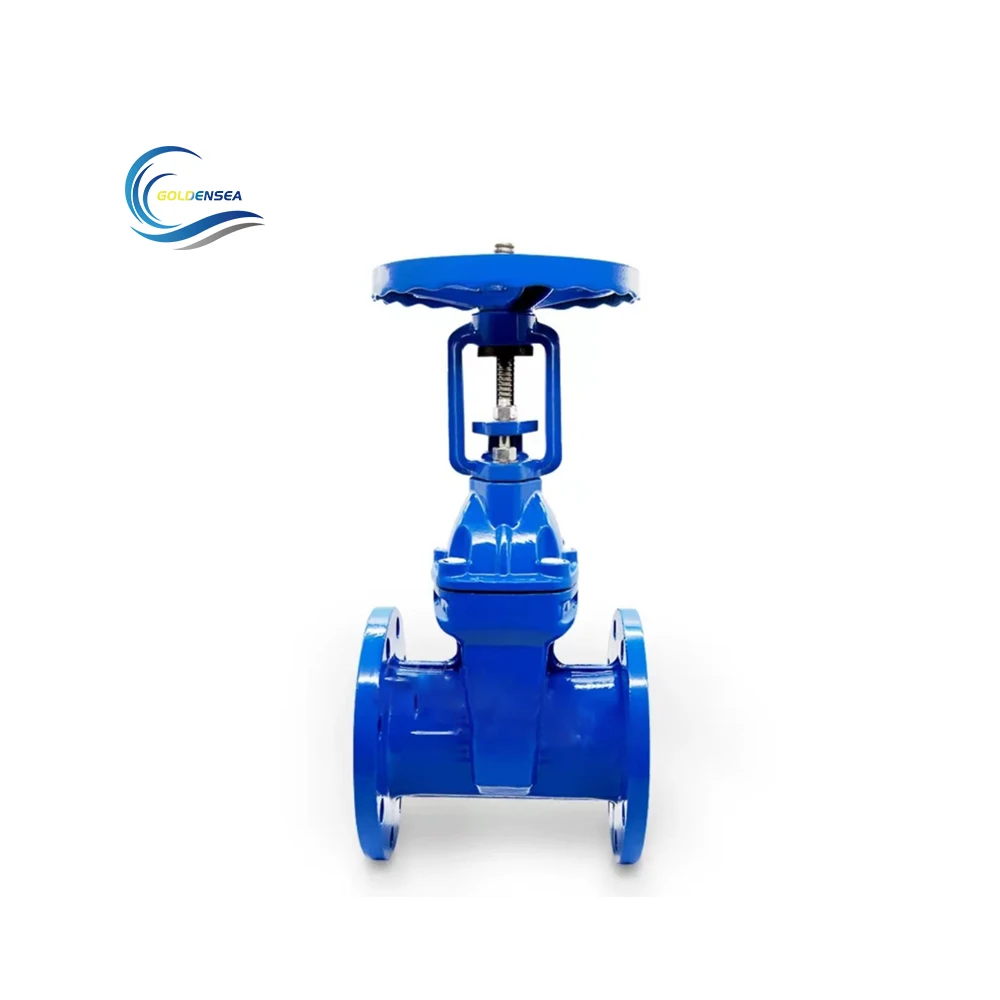 Cast Iron Customized Stem Ductile Iron Resilient Wedge Disc Seat Gate Valve