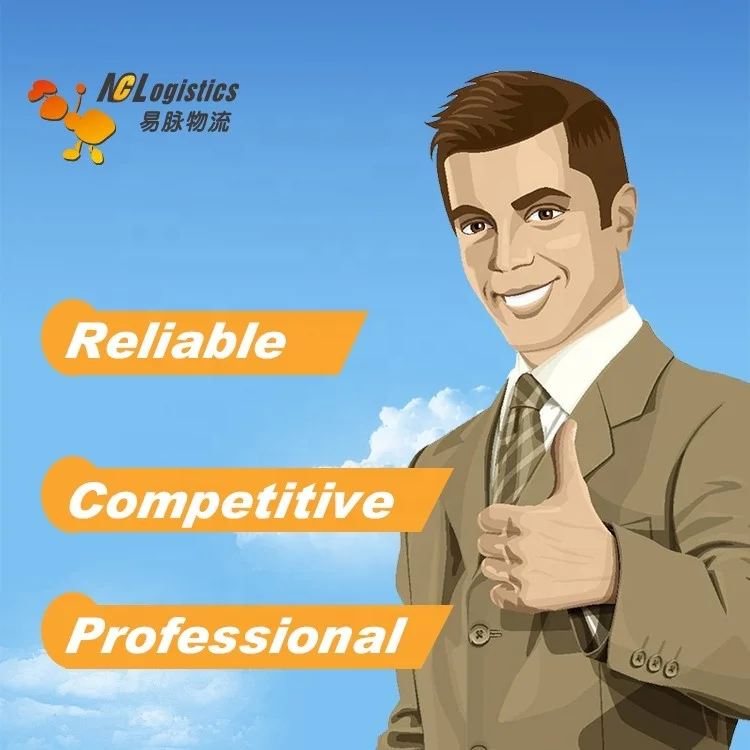 Cheap FBA Shipping Service DDP Dropship to US Fast Delivery Shipping Service