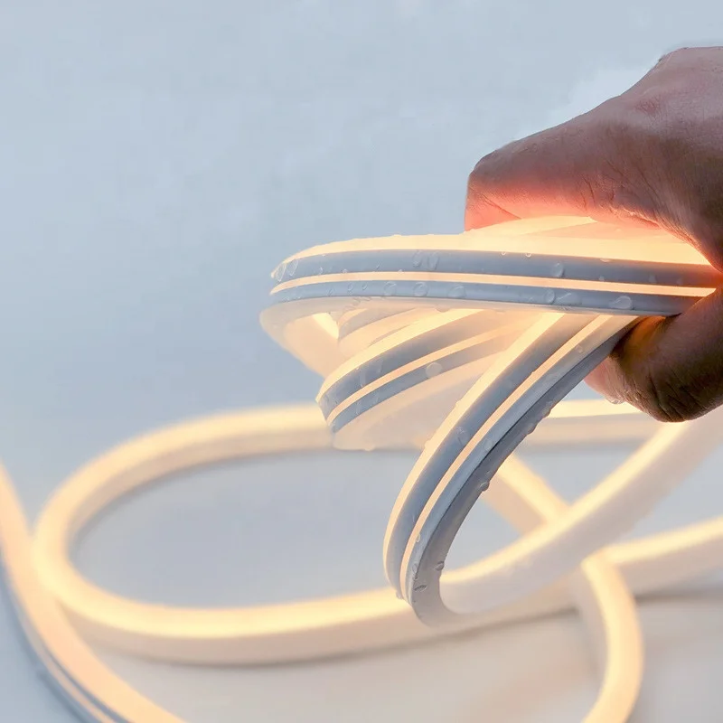 Aquarium Neon Light Bars Outdoor LED Light Strips Waterproof Neon Flexible Strip Light 12v