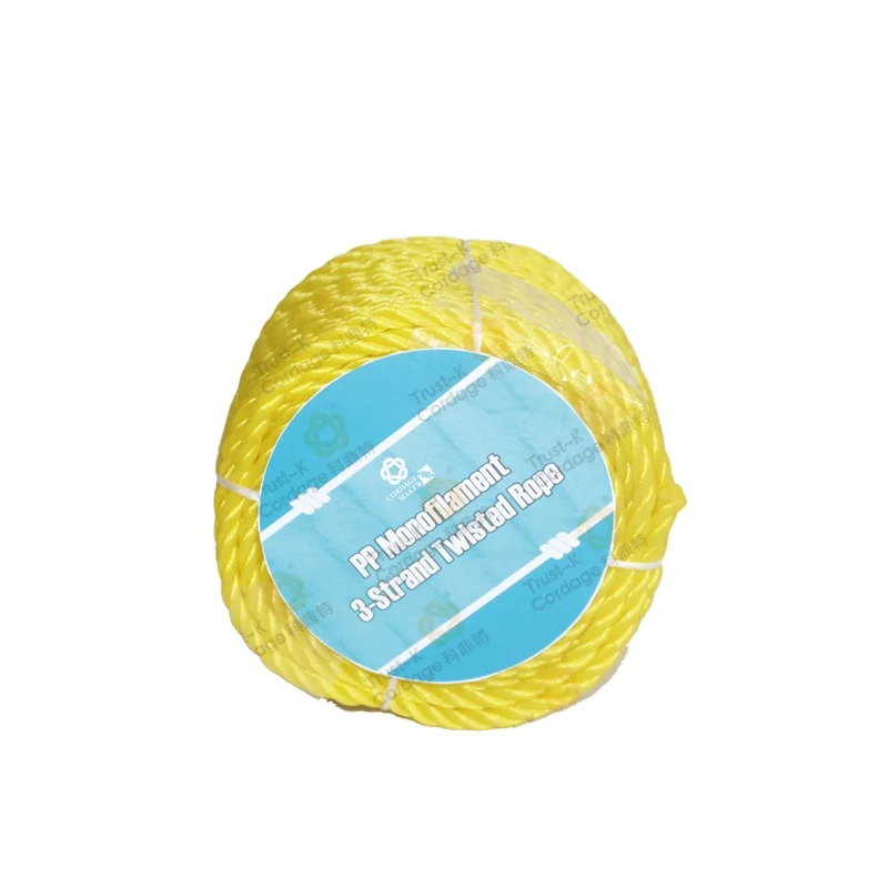 High Quality household agricultural 6mm 8mm PP PE 3 Strand Twisted Rope Poly Rope