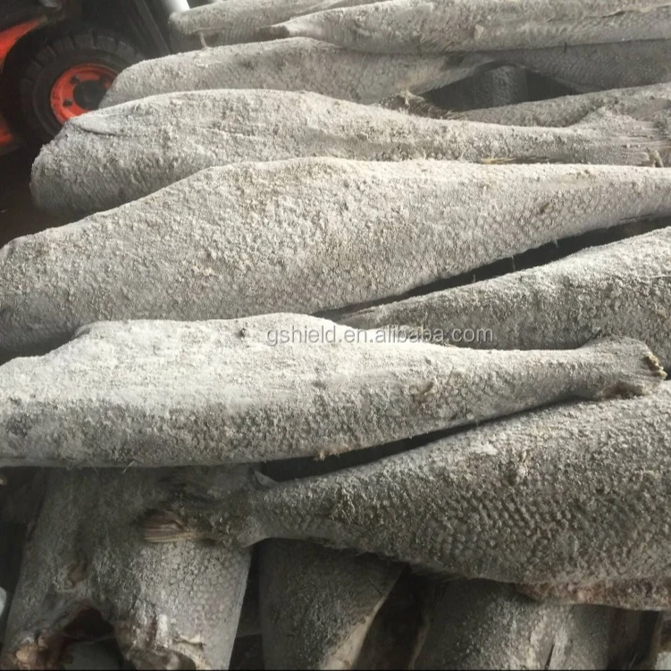 
Good quality Frozen HGT Hamachi in 2016 