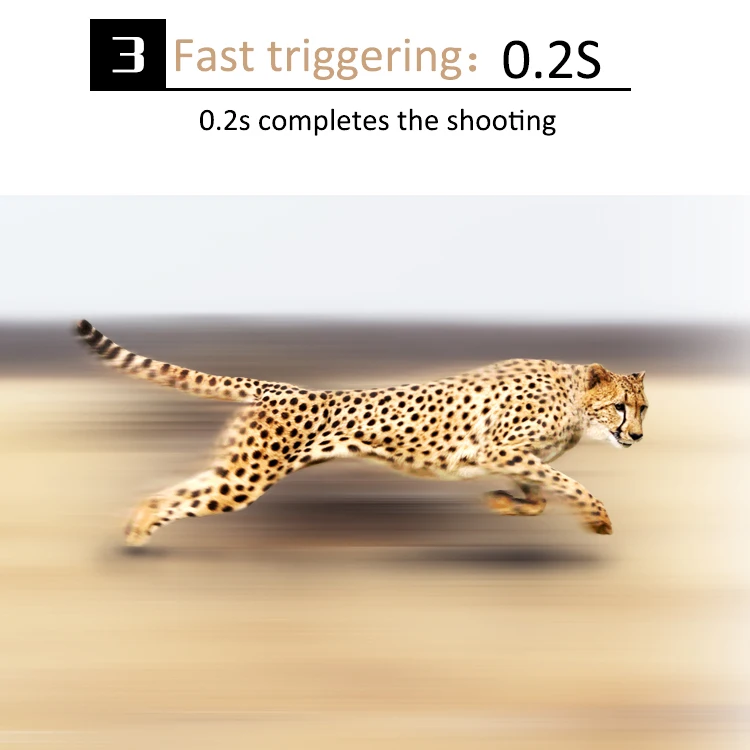 Source manufacturer Real 4K Video Night Vision Hidden Infrared Outdoor Trap Deer Game Trail Camera Hunting