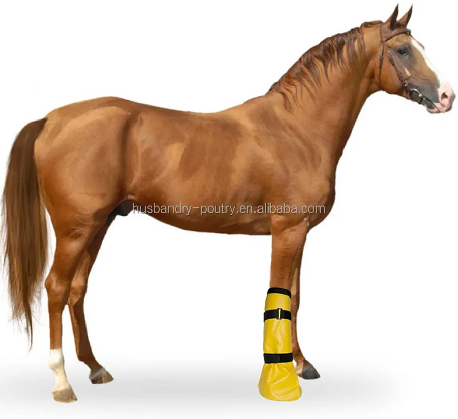 Копыта лошади голенища; Жокейская копыта замачивания ботинки PVC медицинский обертывания пористый