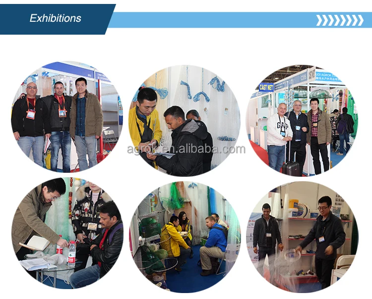 exhibitions