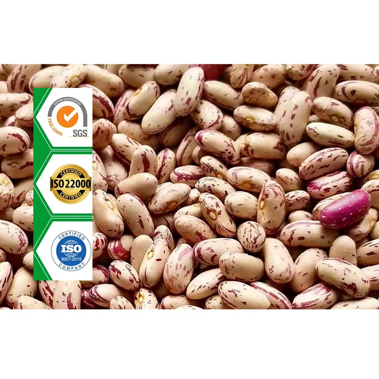 
Organic Pinto Beans Sugar Beans Light Speckled Kidney Beans 