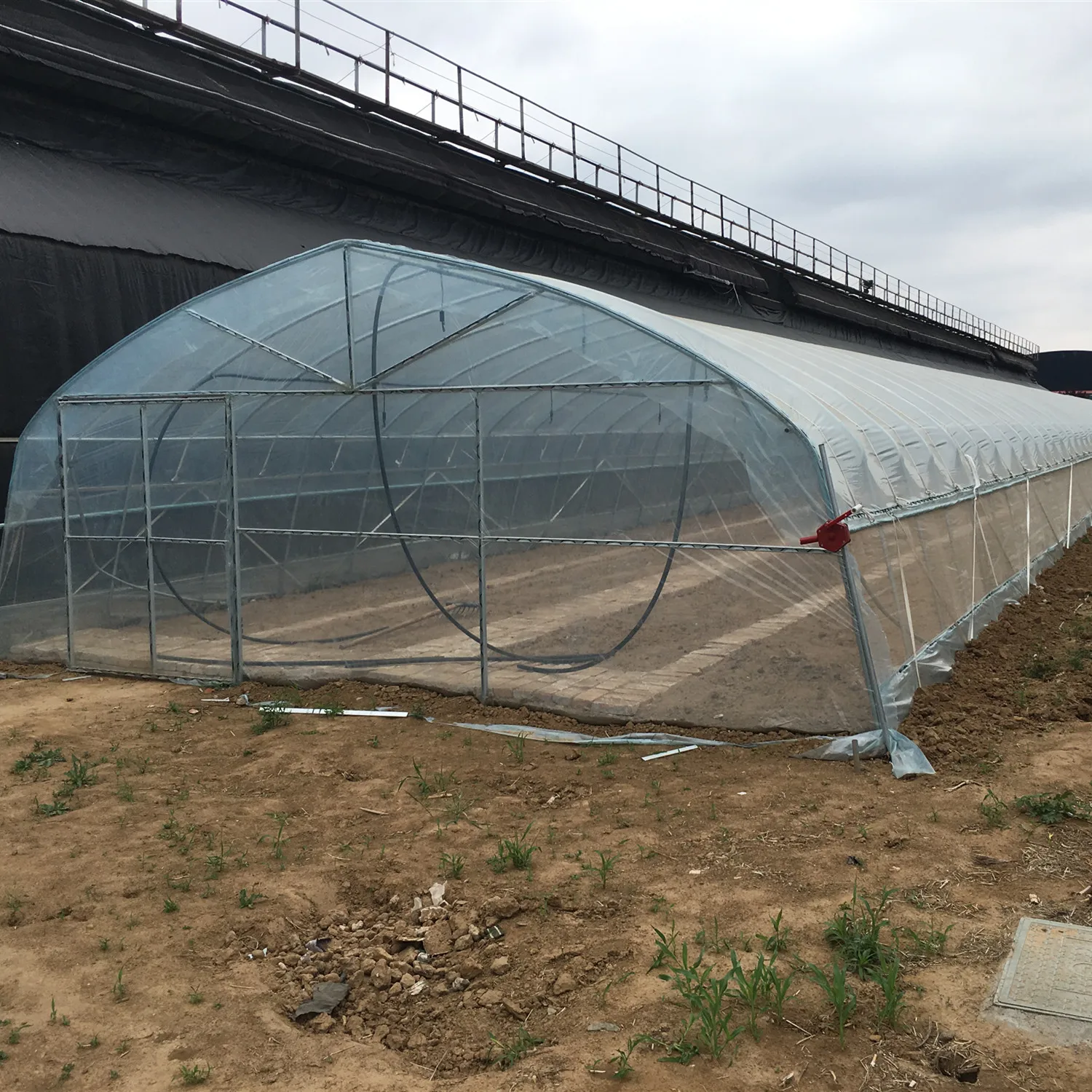 Low Cost Mini Tunnel Greenhouse for Tomato/Cucumber/Seed Breeding for Sale