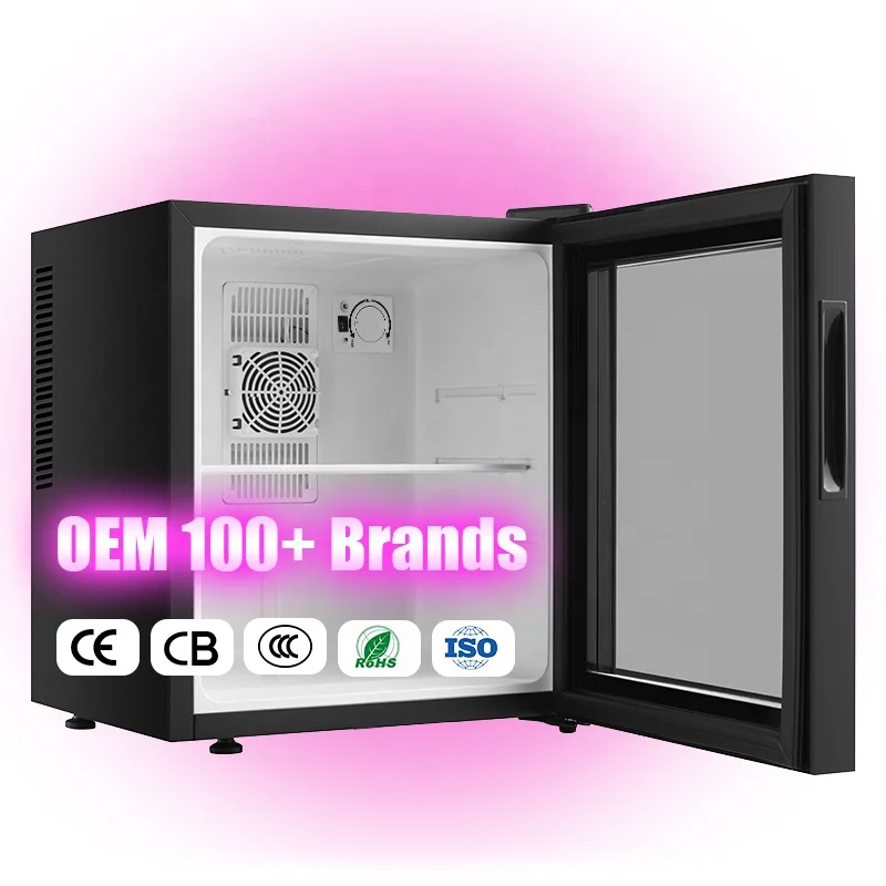 Low Noise 30db Thermoelectric 30L 240V 110V Frost Free Mini Geladeira