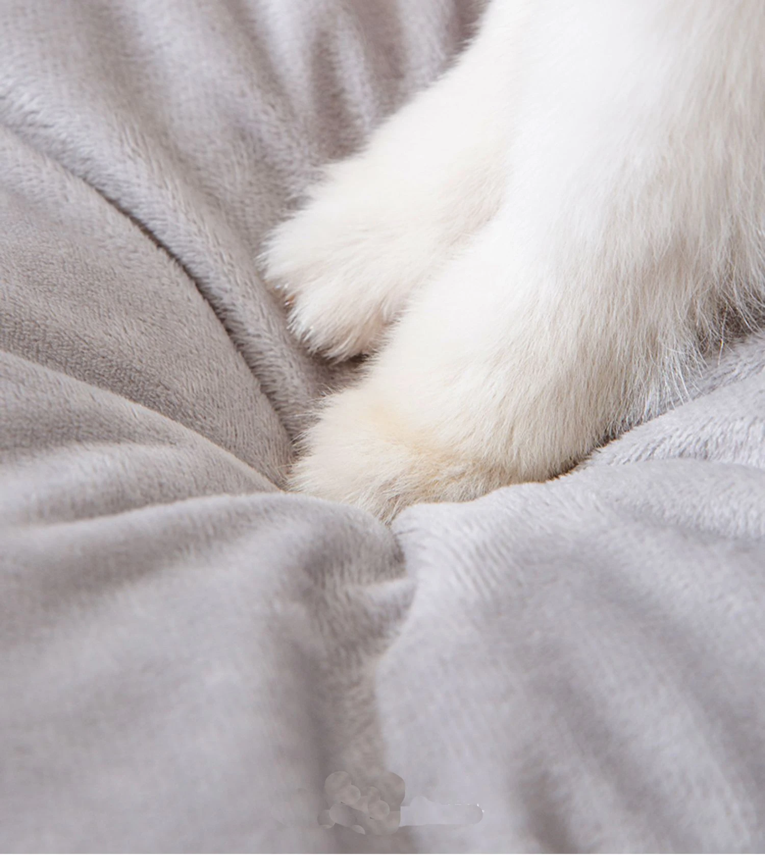 Pet Cat Dog House Cave With Plush Interactive Toy Ball Cat Folding House Bed Plush Cat House With Ears