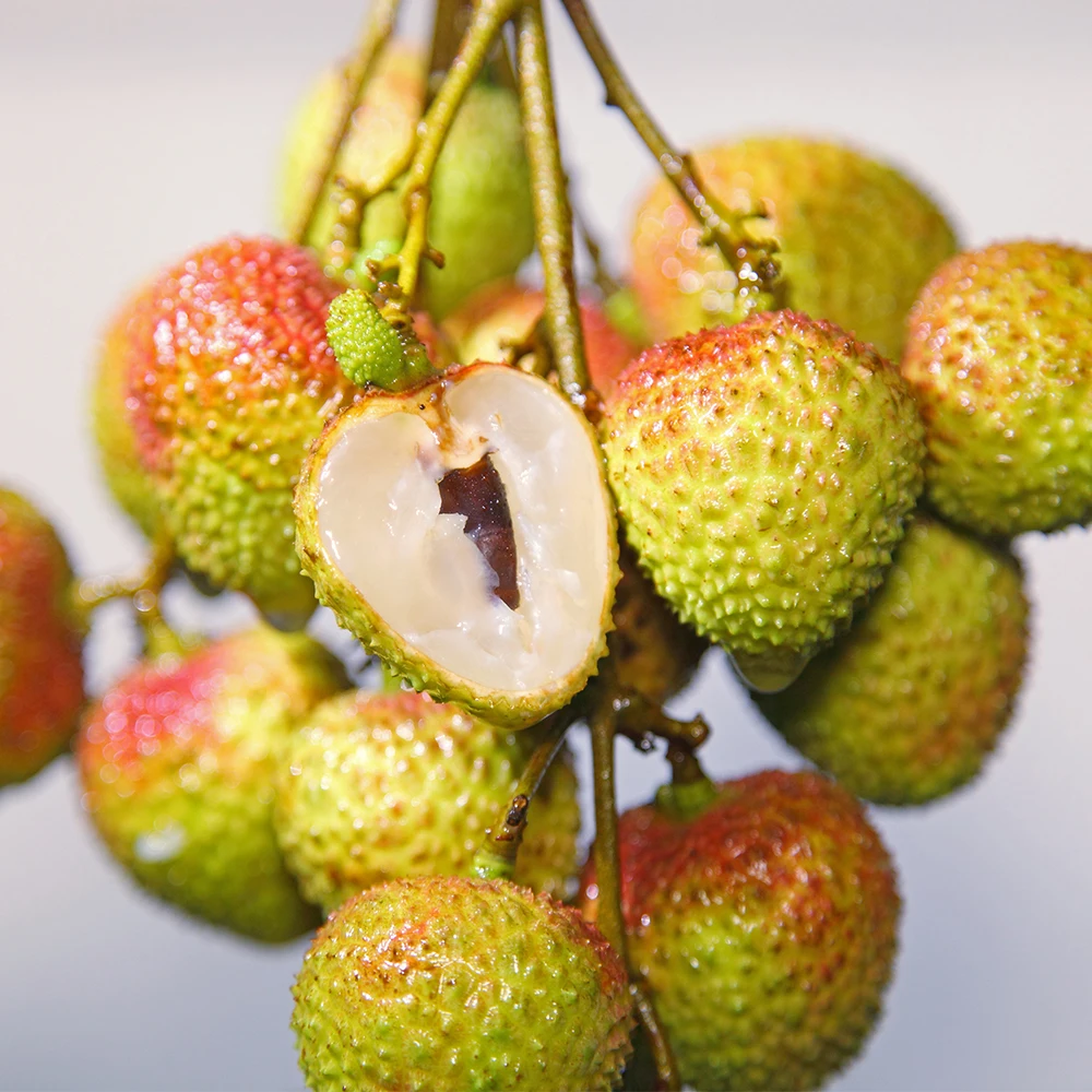 Buy Chinese Fresh Lychee Lichee Litchi Lichi Fresh Fruit Price (Fi Tsz Siu)