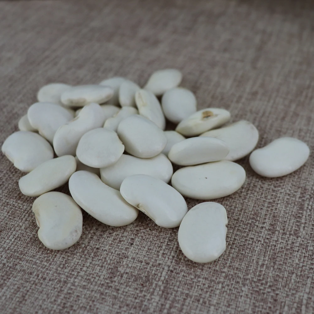 Best Big White Bean Dried White Kidney Bean Sugar Bean