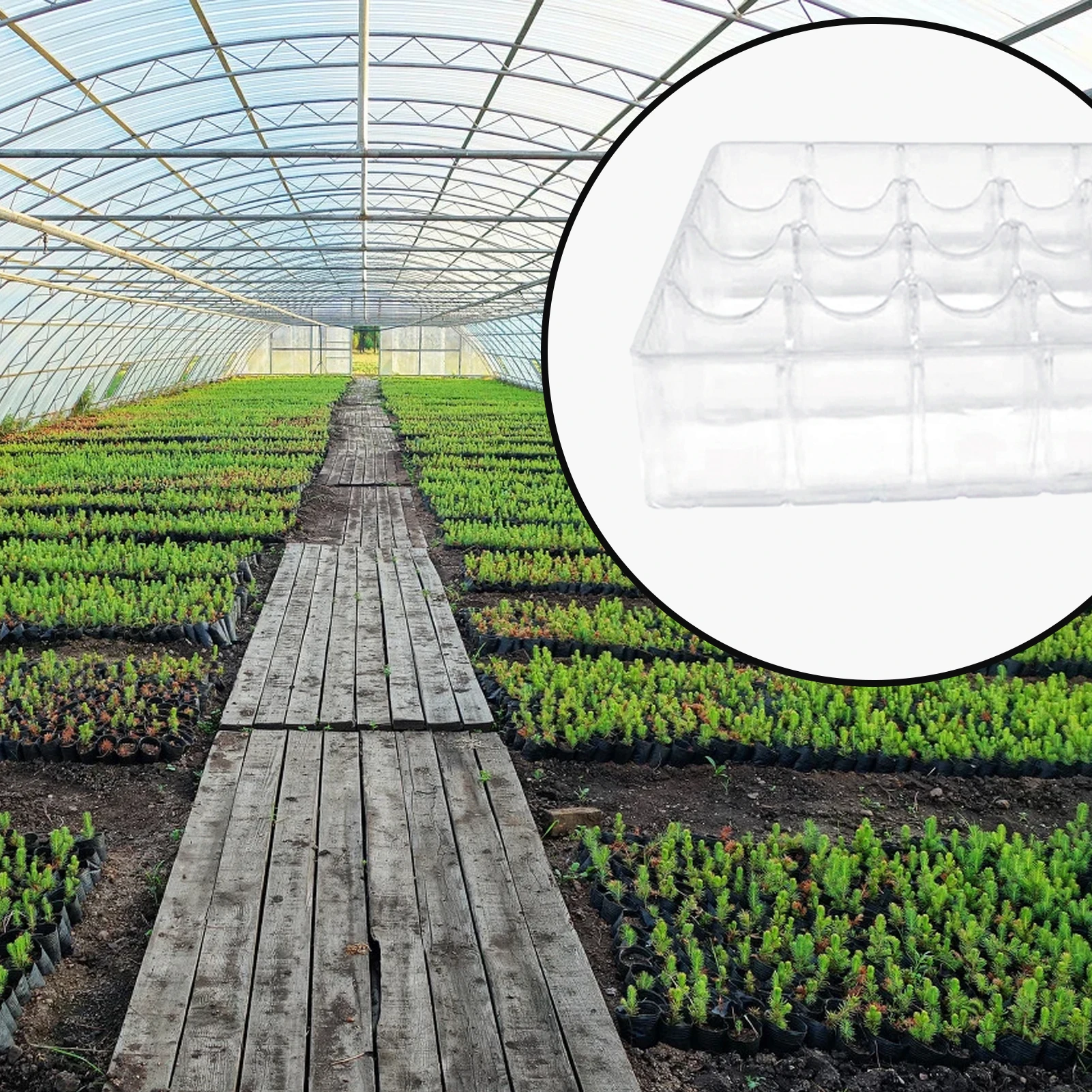 New White Transparent Agricultural Seedling Tray Plant Growing Artificial Plastic Plants for