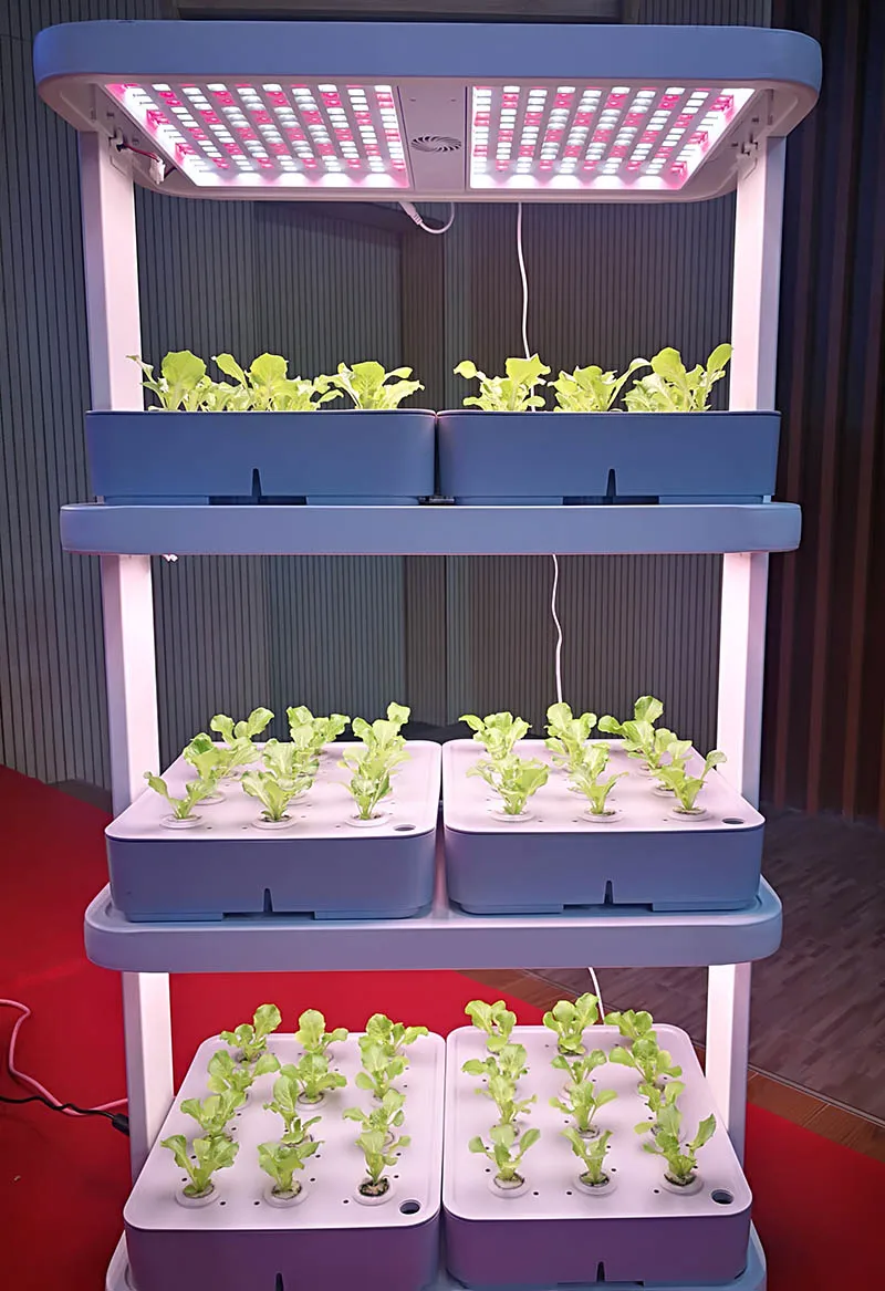 Full Spectrum Indoor Hydroponic Grow Light 3 Layer indoor vegetable growing rack machine for leafy vegetables pepper lettuce
