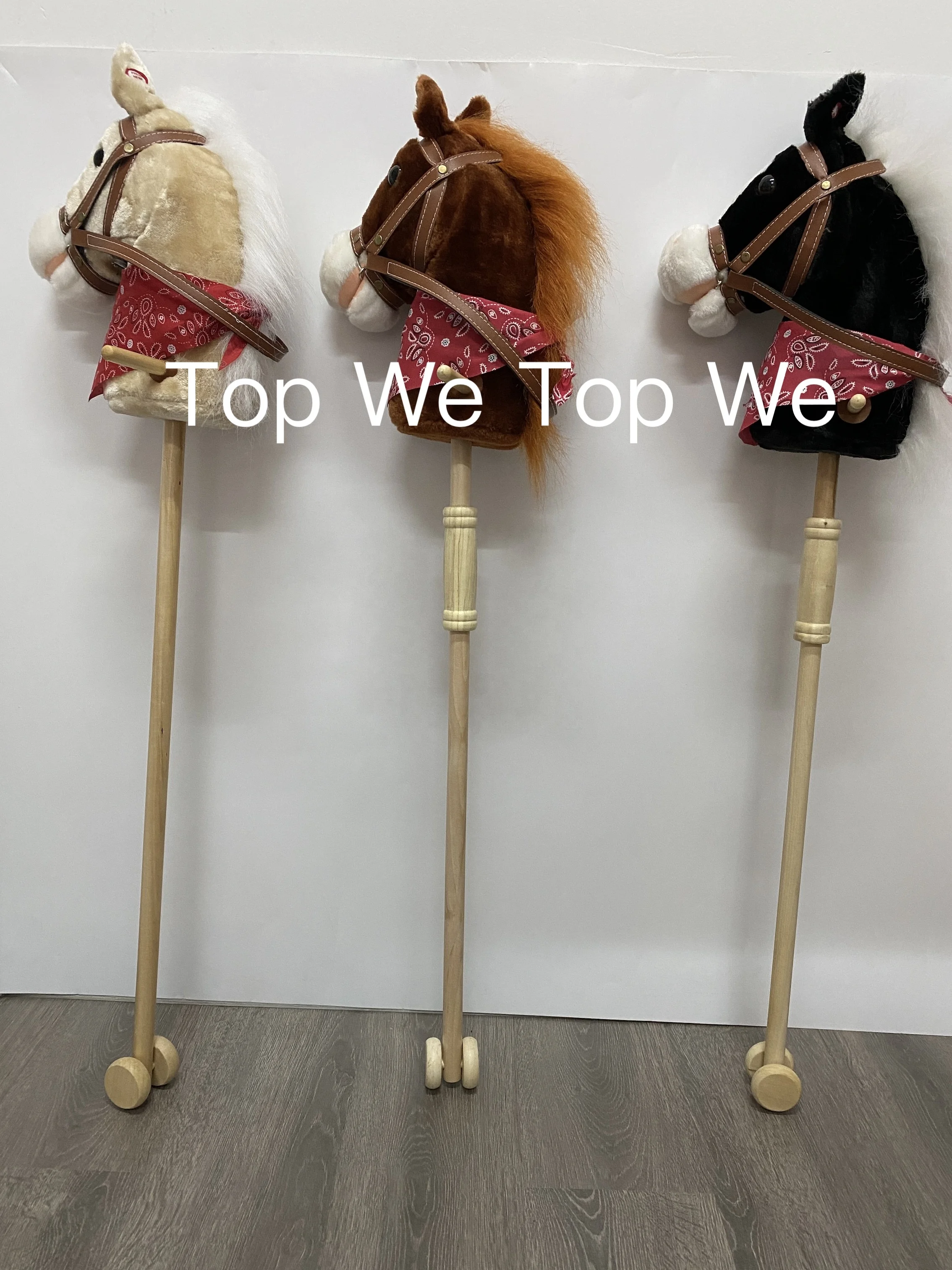 horse stick riding.JPG