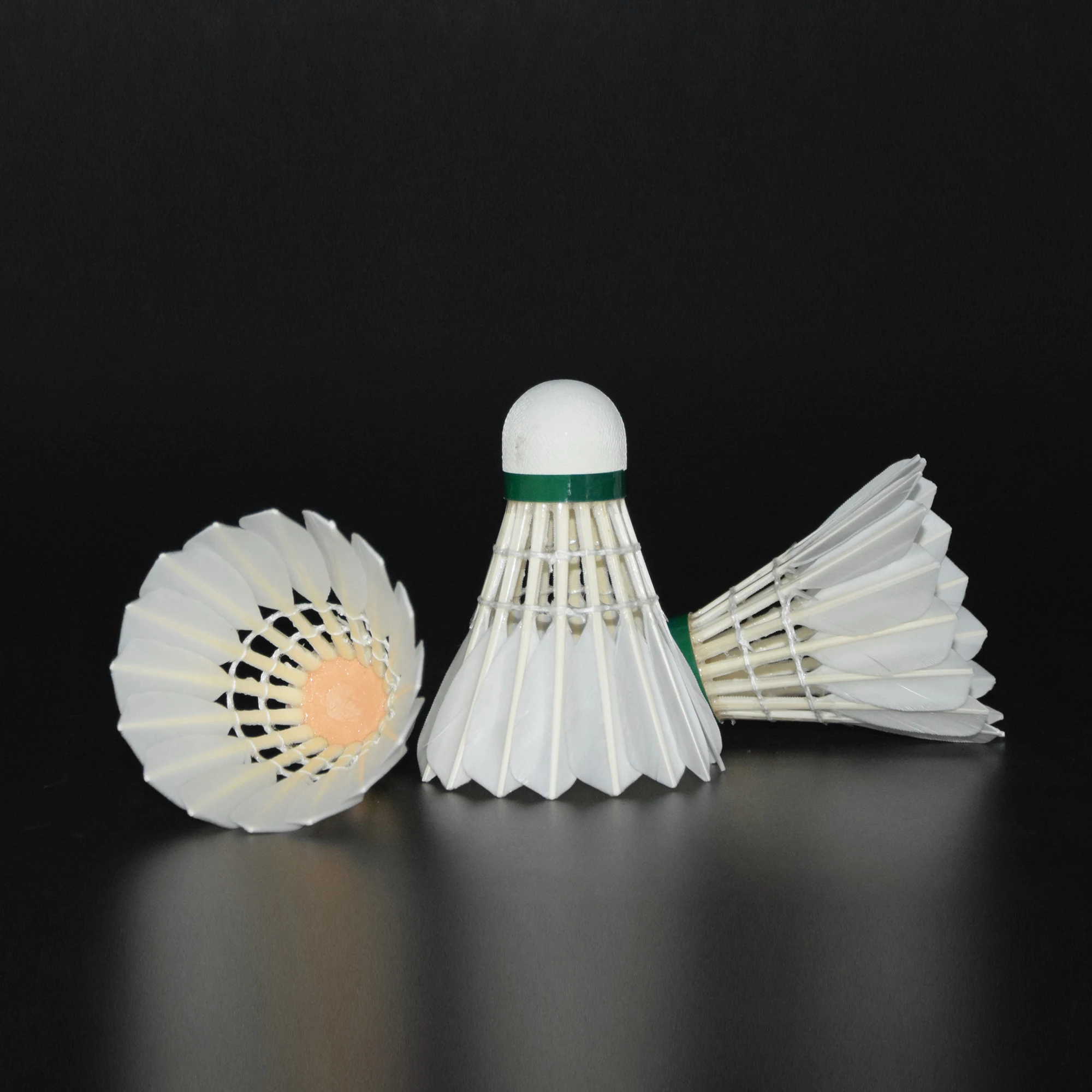 Shuttlecock Badminton Goose Duck Feather Shuttlecock Composite Head Durable Club Training Shuttlecock