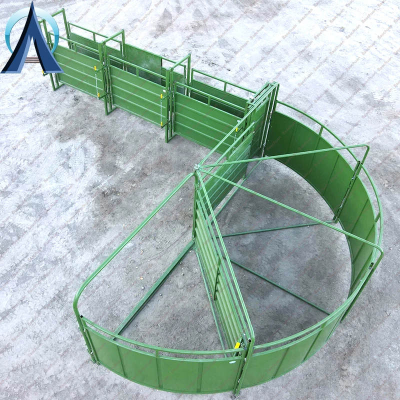 Galvanized Steel Livestock Crowding Tubs Semi-Circular Forcing Yard System For Livestock Management