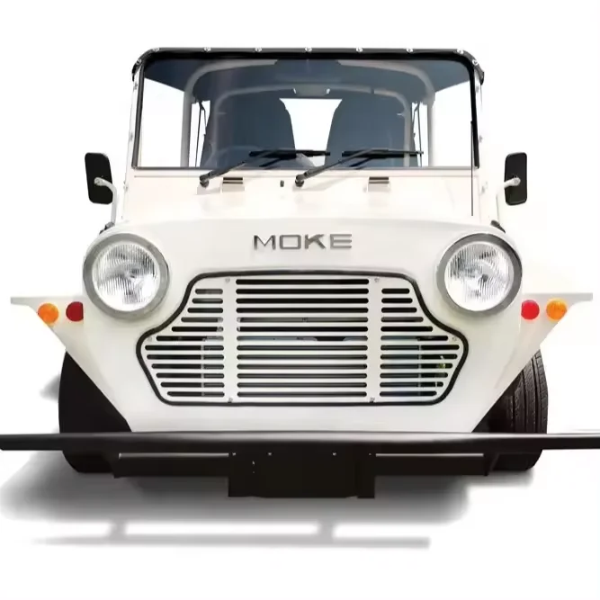 Китайский Новый энергетический автомобиль 4 человека мини электрический Moke классический белый электромобиль MOKE для