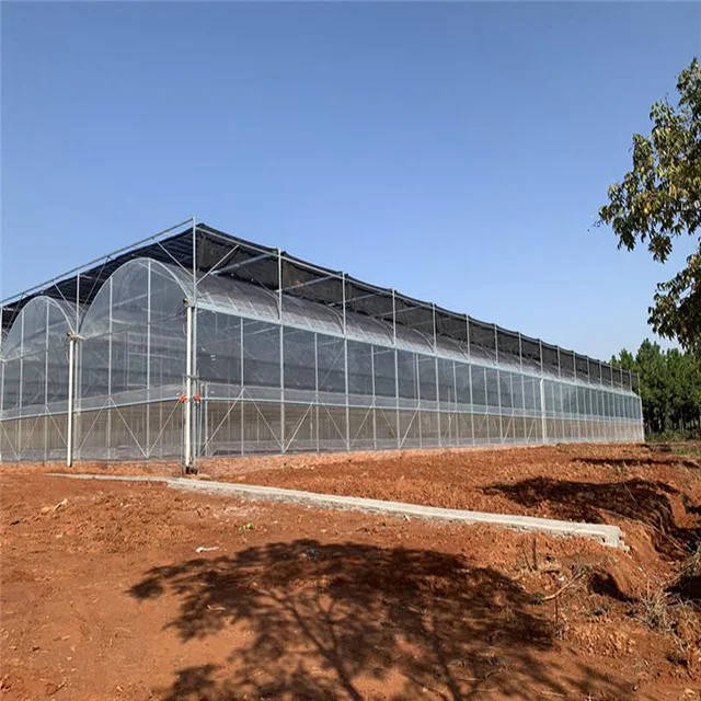 Cheap price plastic film greenhouse hydroponic growing systems greenhouse poly tunnel greenhouse for tomato