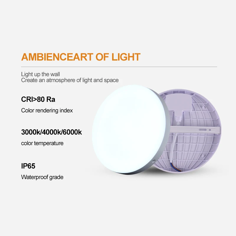 Moisture-proof Led Bulkhead Light Round Surface Mounted Ceiling Light IP65 Waterproof Bulkhead Lamp