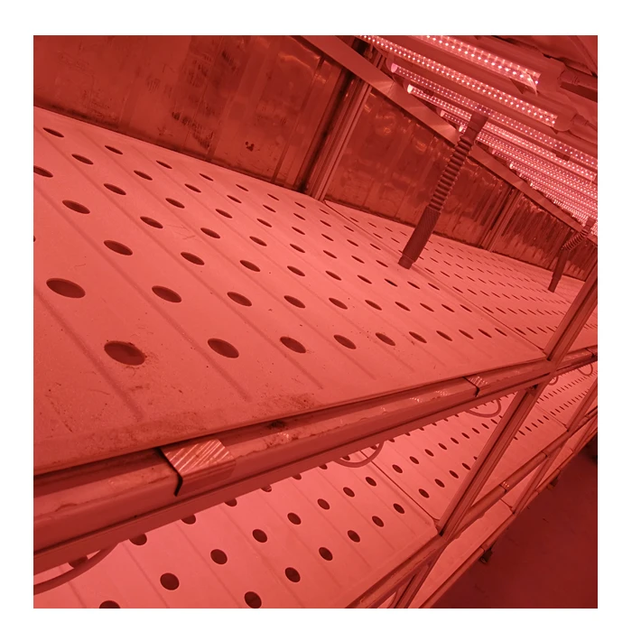 Microgreens Vertical Hydroponic Container Box Farm/ Greenhouse