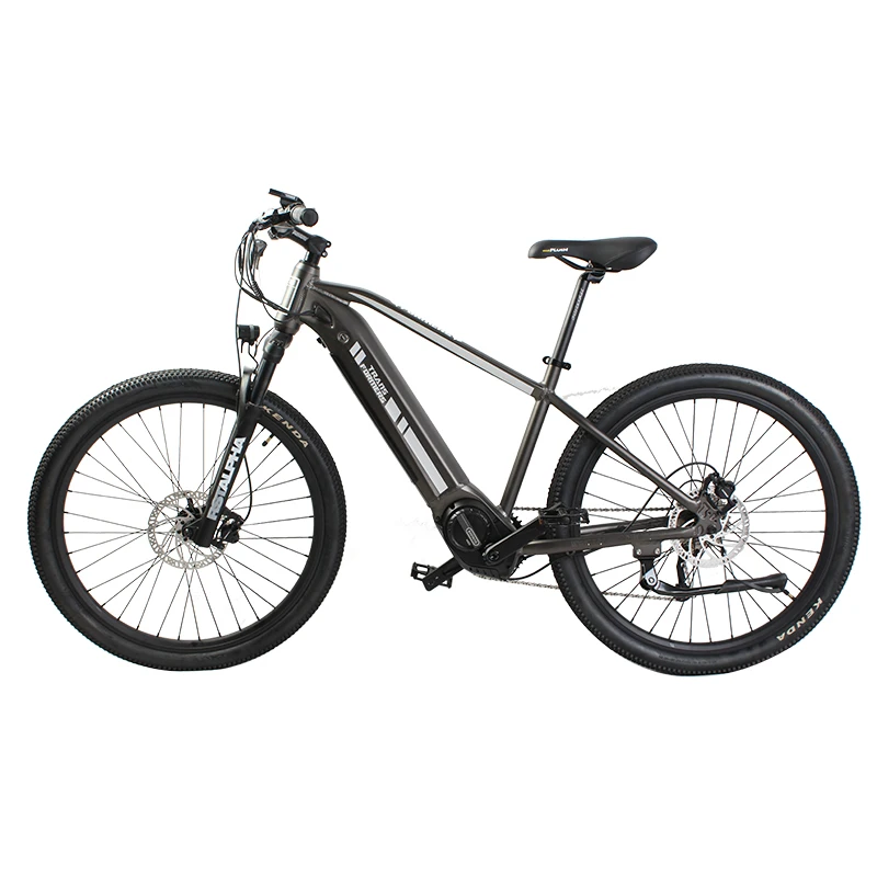Hidden Battery 500w Mid Drive Motor Electric Bike E Bike Bafang M600