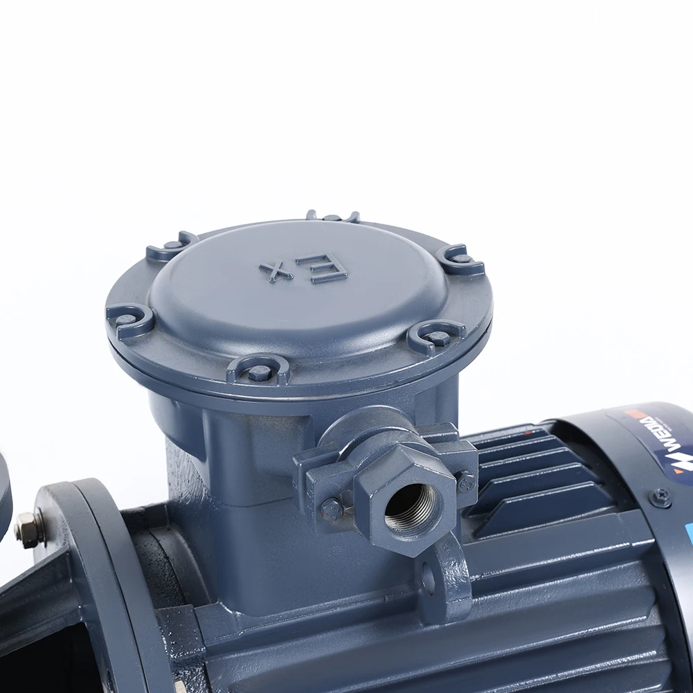 ISWB Horizontal Big Capacity From Purity Single Suction Industrial Explosion-proof Water Pump