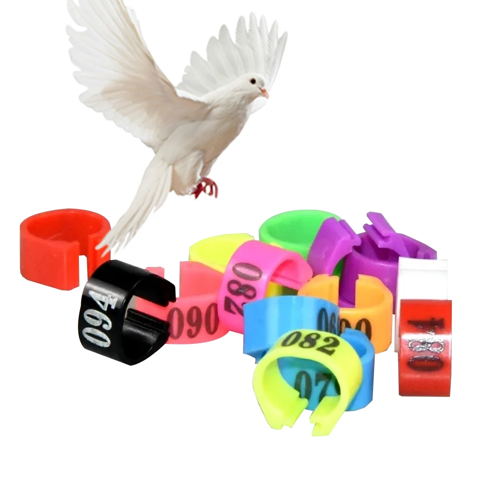 Plastic Wordless Inner Diameter 8MM 10MM Identification  Bird Clip Foot Rings Foot Rings Parrot Pigeon Leg Rings Supplies