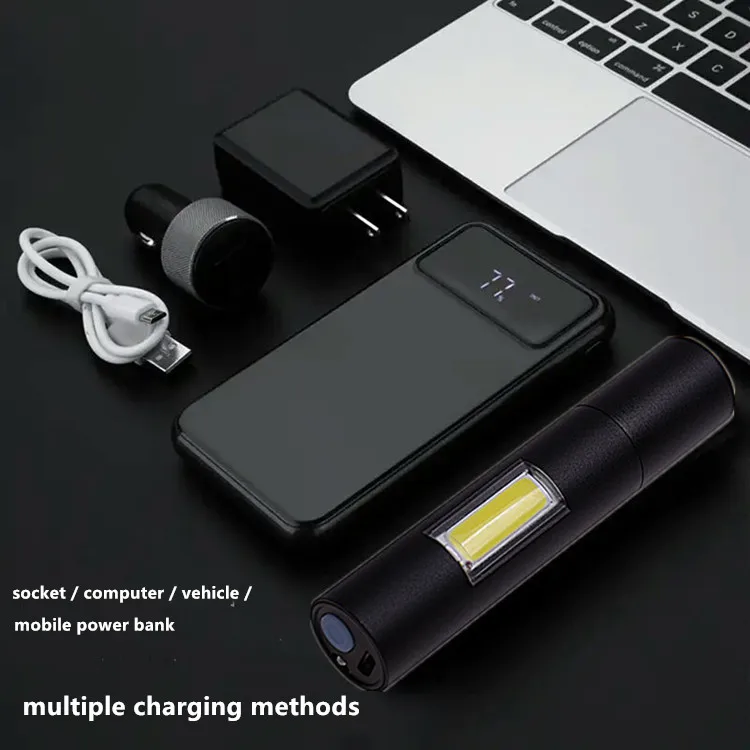 Aluminium Ultraviolet Blacklight Torch USB Charge Black Light 365/395nm UV Flashlight for Dog Urine Pet Stains Bed Bug