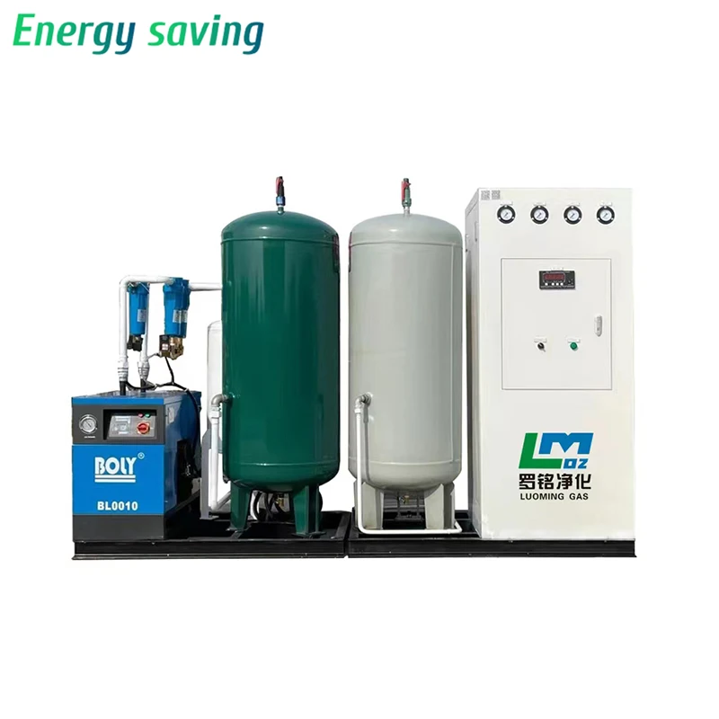 Reliable Custom High Purity 99.999% N2 Gas Generation Equipment CE PSA Nitrogen Generator for Food Industry